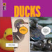 Ducks by Riggs, Kate