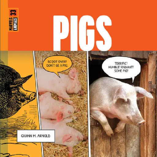 Pigs by Arnold, Quinn M.