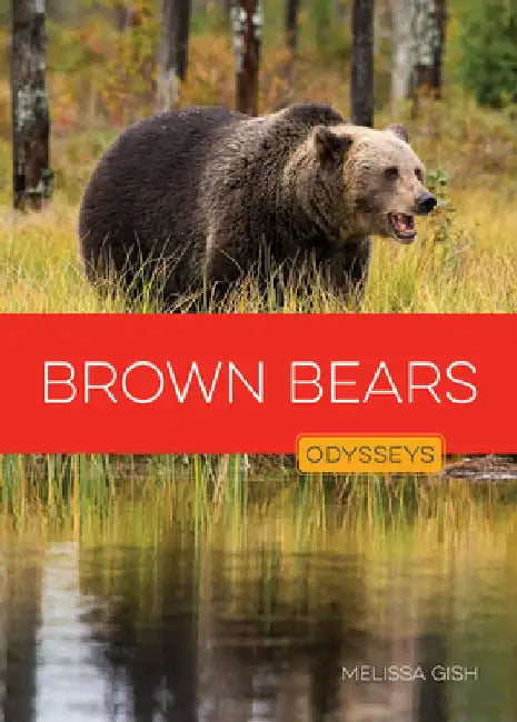 Brown Bears by Gish, Melissa