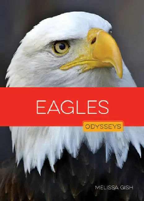 Eagles by Gish, Melissa
