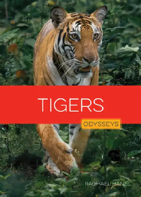 Tigers by Hanel, Rachael
