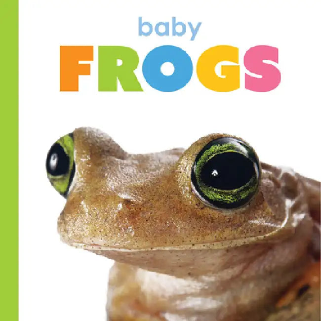 Baby Frogs by Kim Thompson