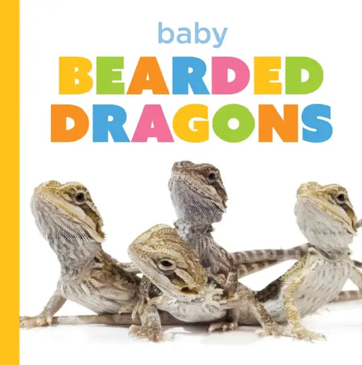 Baby Bearded Dragons by Laura K. Murray