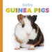 Baby Guinea Pigs by Laura K. Murray