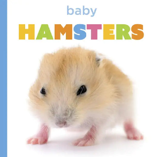 Baby Hamsters by Laura K. Murray