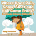 Where Does Rain, Snow, Sleet and Hail Come From? - 2nd Grade Science Edition Vol 2 by Baby Professor