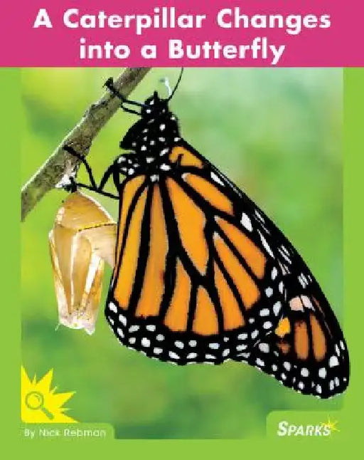 A Caterpillar Changes Into a Butterfly by Nick Rebman
