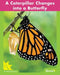 A Caterpillar Changes Into a Butterfly by Nick Rebman