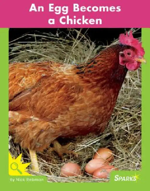 An Egg Becomes a Chicken by Nick Rebman