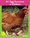 An Egg Becomes a Chicken by Nick Rebman