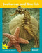 Seahorses and Starfish by Jenna Lee Gleisner