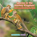 Species in the Monkey Kingdom! Apes and Monkeys for Kids - Children's Biological Science of Apes & Monkeys Books by Professor Gusto