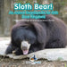 Sloth Bear! An Animal Encyclopedia for Kids (Bear Kingdom) - Children's Biological Science of Bears Books by Prodigy Wizard