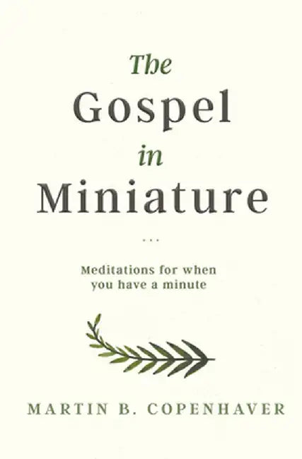 The Gospel in Miniature: Meditations for When You Have a Minute by Martin Copenhaver