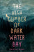 The High Climber of Dark Water Bay by Caroline Arden