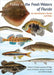 Fishes in the Freshwaters of Florida by Robert H. Robins, Lawrence M. Page, James D. Williams