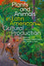 Plants and Animals in Latin American Cultural Production by Cristina E. Pardo Porto, Oscar A. Pérez
