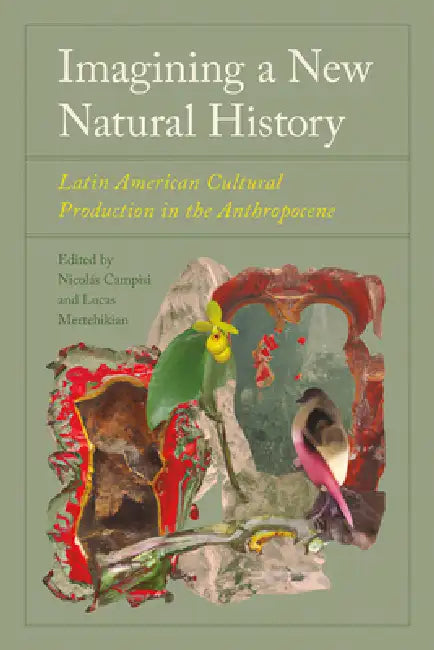 Imagining a New Natural History: Latin American Cultural Production in the Anthropocene by Nicolás Campisi, Lucas Mertehikian