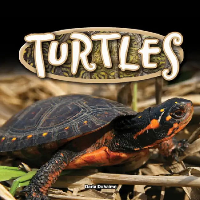Turtles by Darla Duhaime