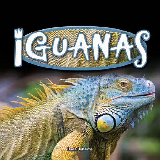 Iguanas by Darla Duhaime