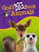 God's Big Book of Animals by Orit Kashtan