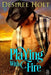 Playing with Fire by Desiree Holt