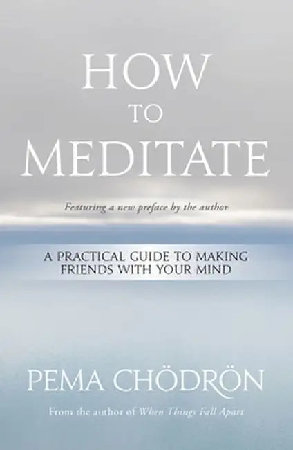 How to Meditate: A Practical Guide to Making Friends with Your Mind by Pema Chödrön