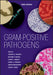 Gram-Positive Pathogens by Vincent A. Fischetti