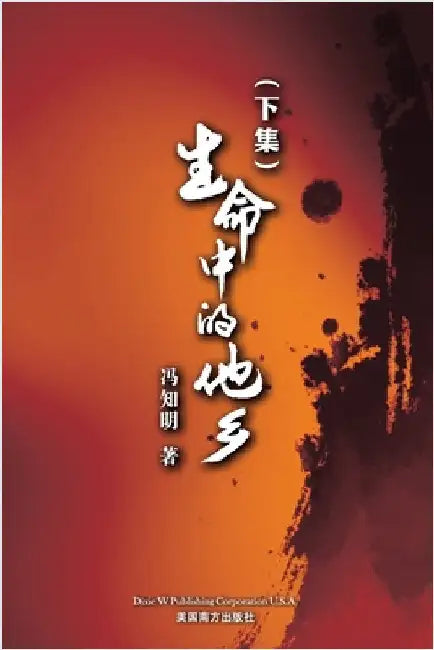 生命中的他乡 (下卷） by Feng, Zhiming
