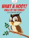What a Hoot! Owls of the Forest Coloring Book by Kreative Kids