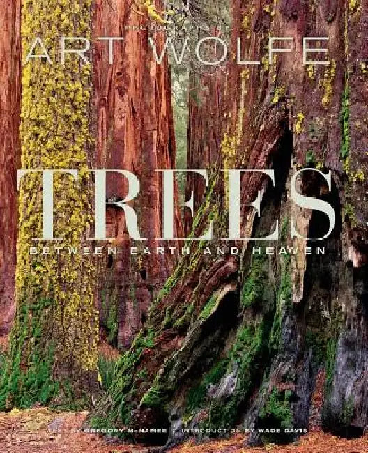 Trees: Between Earth and Heaven by Gregory McNamee