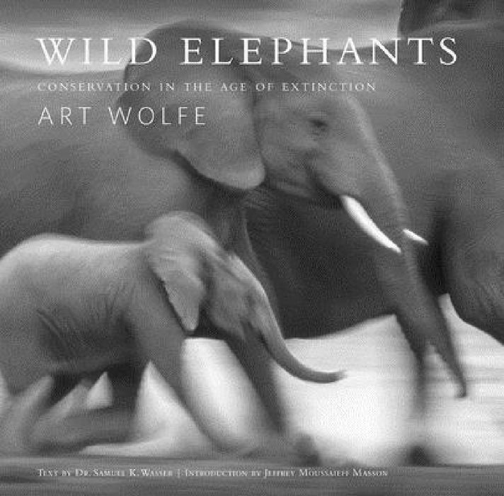 Wild Elephants: Conservation in the Age of Extinction by Samuel Wasser