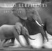 Wild Elephants: Conservation in the Age of Extinction by Samuel Wasser