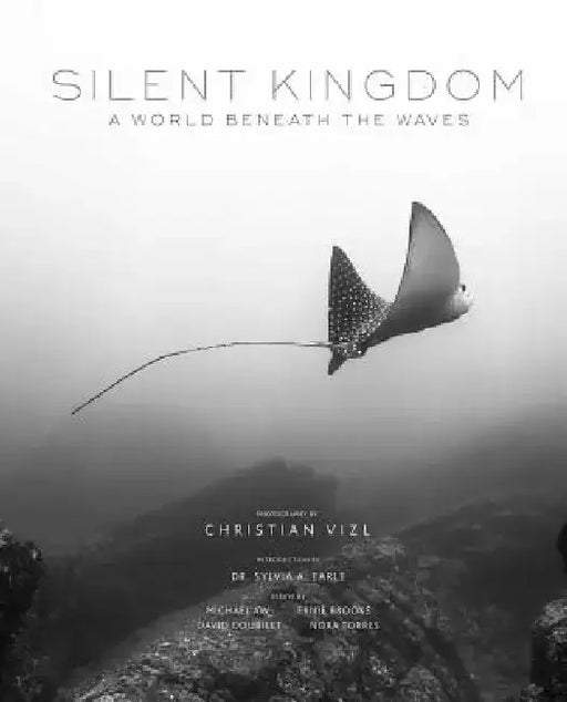 Silent Kingdom by Christian Vizi