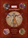 Marvel Anatomy by Marc Sumerak