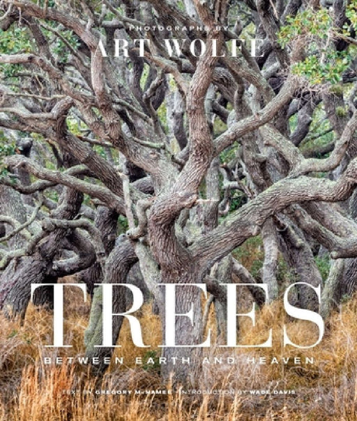 Trees (Gift Edition): Between Earth and Heaven by Art Wolfe