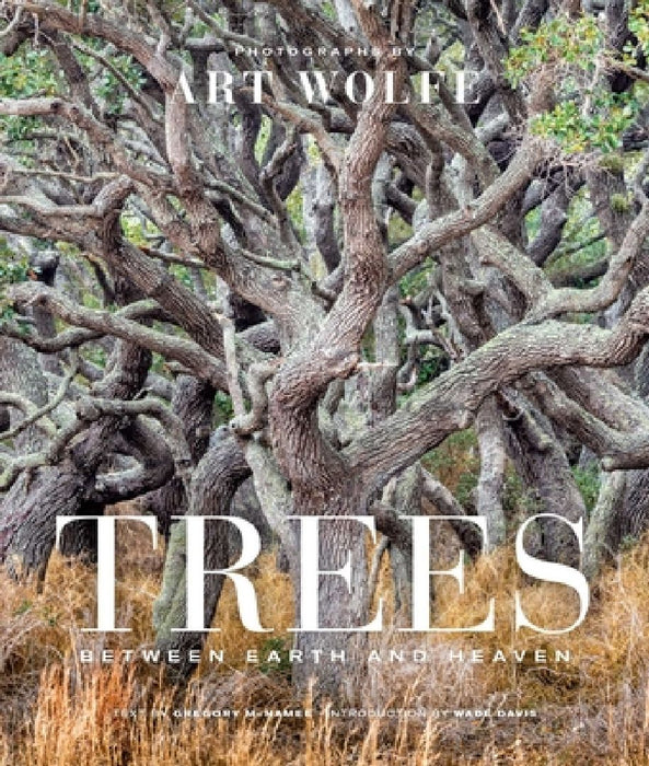 Trees (Gift Edition): Between Earth and Heaven by Art Wolfe