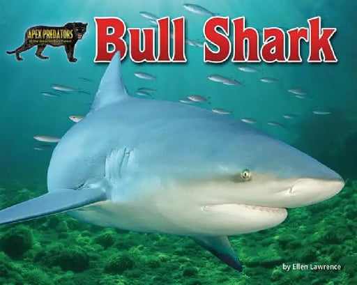 Bull Shark by Ellen Lawrence
