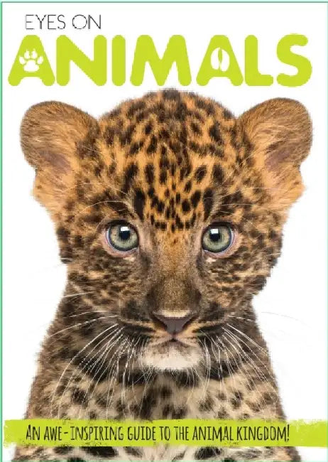 Eyes on Animals by Courtney Acampora