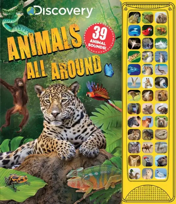 Discovery: Animals All Around by Courtney Acampora