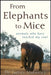 From Elephants to Mice: Animals Who Have Touched My Soul