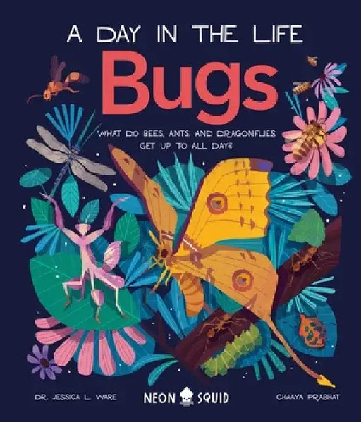 Bugs (a Day in the Life): What Do Bees, Ants, and Dragonflies Get Up to All Day? by Jessica L. Ware