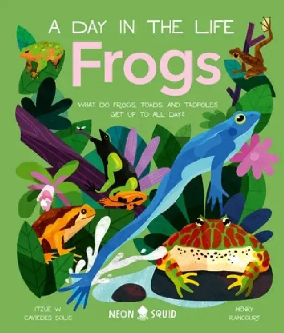 Frogs (a Day in the Life): What Do Frogs, Toads, and Tadpoles Get Up to All Day? by Itzue W. Caviedes-Solis