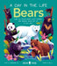 Bears (a Day in the Life): What Do Polar Bears, Giant Pandas, and Grizzly Bears Get Up to All Day? by Don Hardeman Jr