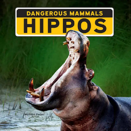 Hippos by Madison Parker