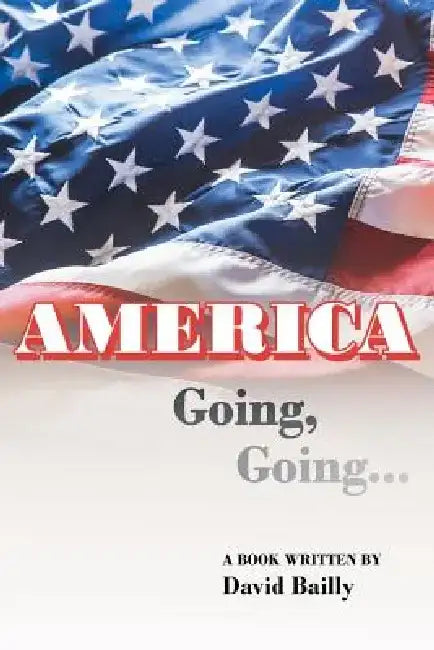AMERICA Going, Going... by David Bailly