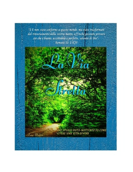 La Via Stretta: Uno Studto Automottvato Sulla Vtta Dt Una Vtta Dw by Betsy Meldick