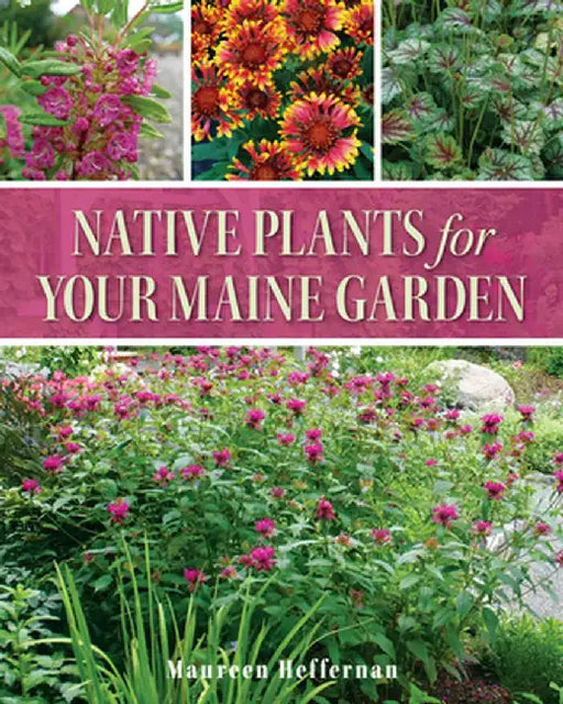Native Plants for Your Maine Garden by Maureen Heffernan