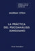 El volumen cuatro de la Recopilación de escritos de Murray Stein: La Práctica Del Psicoanálisis Junguiano by Murray Stein