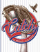 Catch: A Kids Book about Baseball, Family, and Growing Up by D. C. Swanson, Clint Hansen